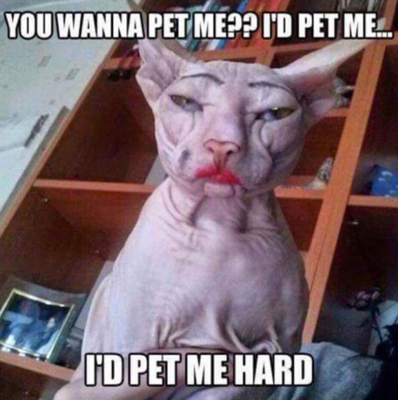 Meet your Posher, Chara - Picture 5 of 10